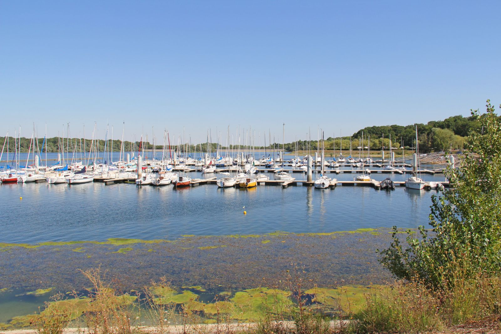 Le Lac du Der : un écrin nautique au cœur de la Champagne