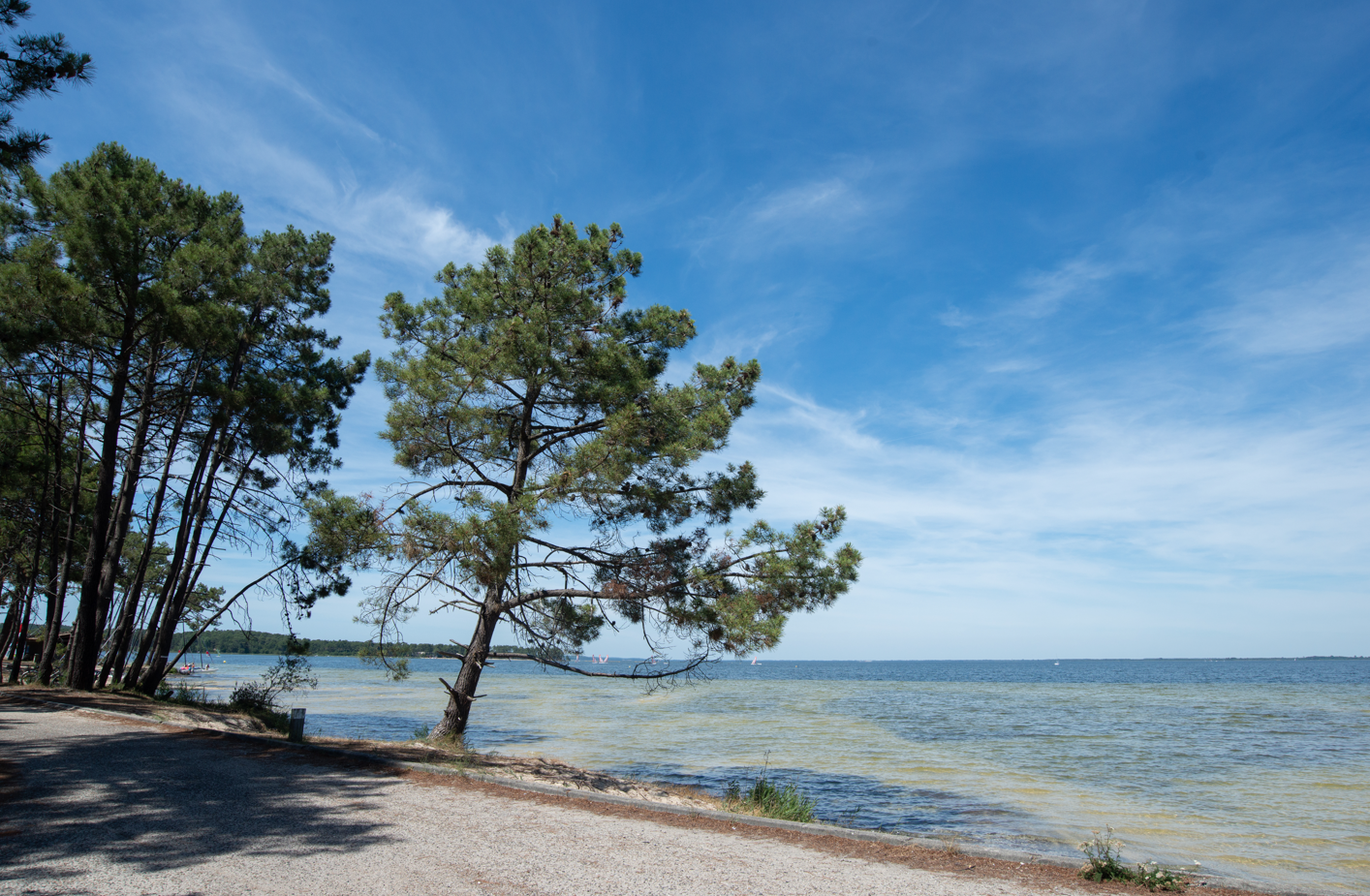 Lac d'Hourtin, le plus grand lac naturel naturel de France, terrain d’aventures nautiques