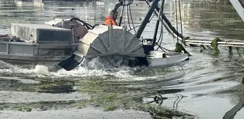 Plantes aquatiques invasives : les canaux français sous pression